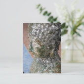 仏像-タイ ポストカード (スタンド正面)