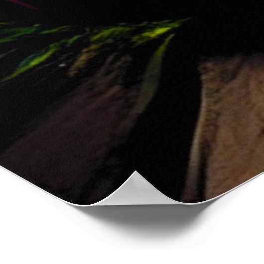 仏光覚醒 ポスター (角)