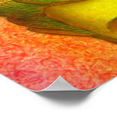 仏教のポスタークアンイン仏冠禅宗 ポスター (角)