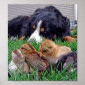 仕事で ポスター (正面)