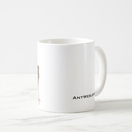 仕事のマグのAntWebの堅い日 コーヒーマグカップ (正面右)