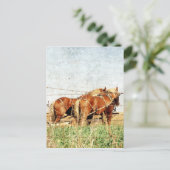 仕事の準備が整荷車を引くった ポストカード (スタンド正面)