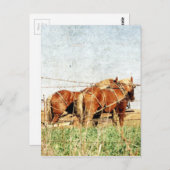 仕事の準備が整荷車を引くった ポストカード (正面/裏面)