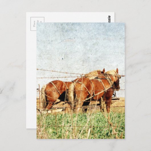 仕事の準備が整荷車を引くった ポストカード (正面/裏面)