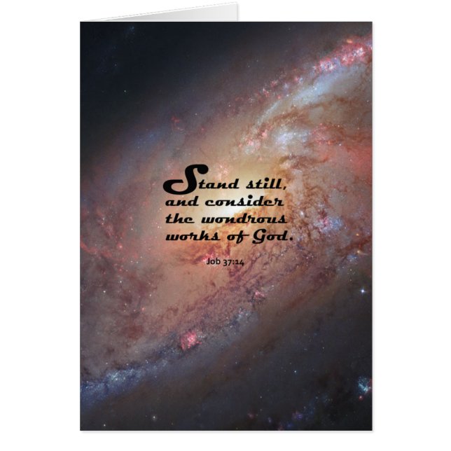 仕事の37:14 (正面)