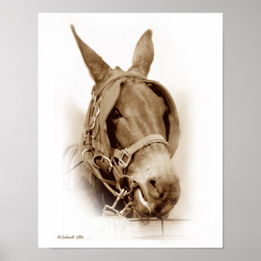 仕事を休む ポスター (正面)