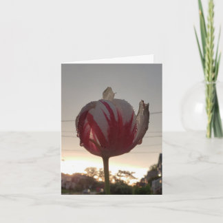 仕事を得る、ヒッピー カード