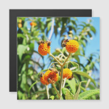 仕事中のミツバチ磁気カード