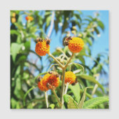 仕事中のミツバチ磁気カード (正面)