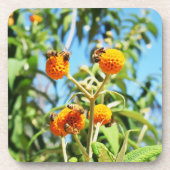 仕事中のミツバチ コースター (正面)