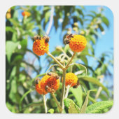 仕事中のミツバチ スクエアシール (正面)