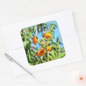 仕事中のミツバチ スクエアシール (封筒)