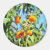 仕事中のミツバチ マグネット (正面)