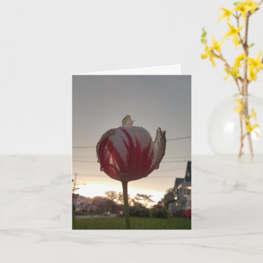 仕事実在を得る カード (黄色い花)