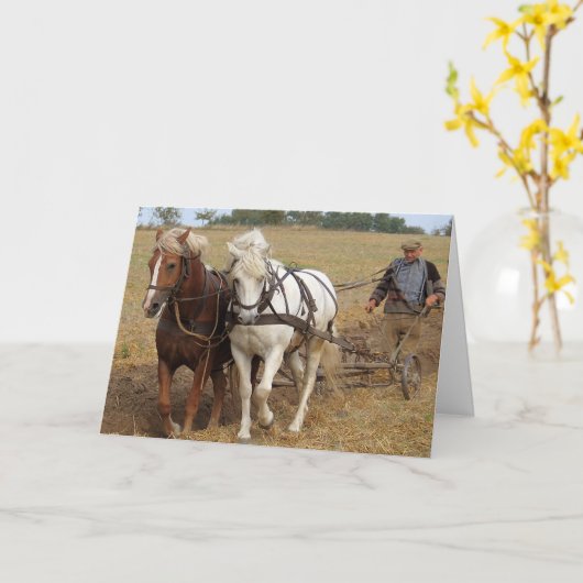 仕事 カード (黄色い花)