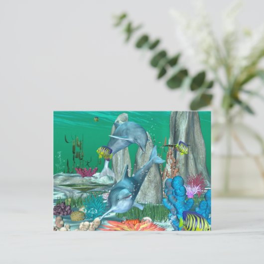 他のおもしろい魚遊とイルカ ポストカード (スタンド正面)