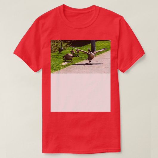 他のガチョウの羽で鳴くカナダのガチョウ Tシャツ (デザイン正面)
