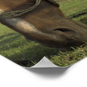 他のストップ人々の期待に応えようとする(L) ポスター (角)