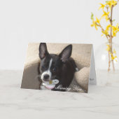 他の写真恋しく思008の… カード (黄色い花)