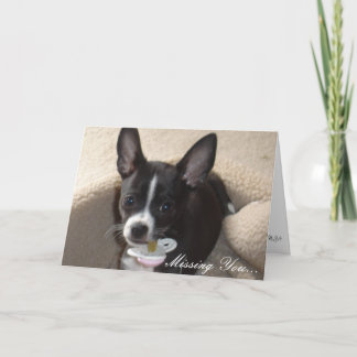 他の写真恋しく思008の… カード