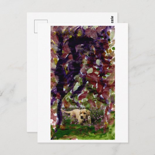 他の場所のはがき屋の犬 ポストカード (正面/裏面)