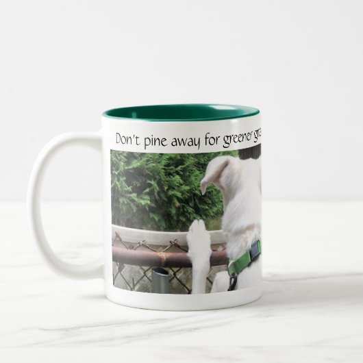 他の庭の草を見るかわいいノゼイ白犬 ツートーンマグカップ (左)