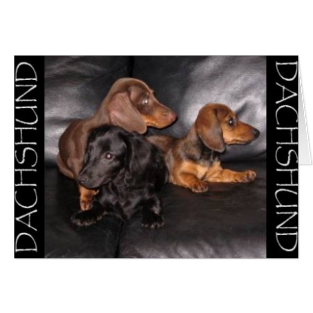 他の方法を見て下さい (正面横)