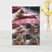 他のCDをお願い カード (黄色い花)