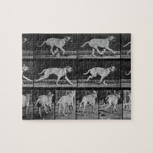 他人の手先として使われる者は、「動物の移動」からの707を、1めっきします ジグソーパズル (横)