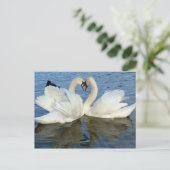 付き添われた白鳥のハート愛 ポストカード (スタンド正面)