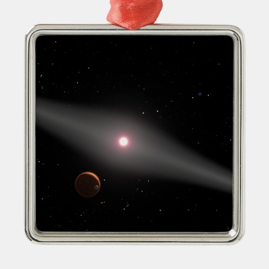 付近からの眺め メタルオーナメント (正面)