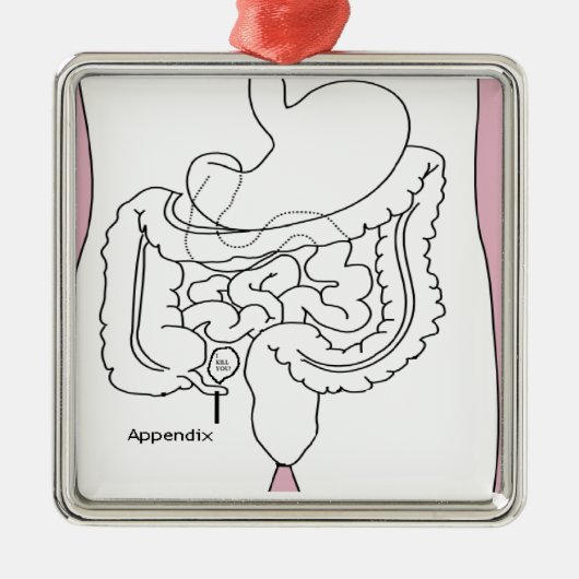 付録はyou.pngを殺します メタルオーナメント (正面)