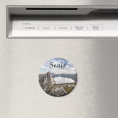 仙者 マグネット (インサイチュ (食洗機))