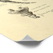 仙骨尾骨解剖学的脊椎骨プリント ポスター (角)