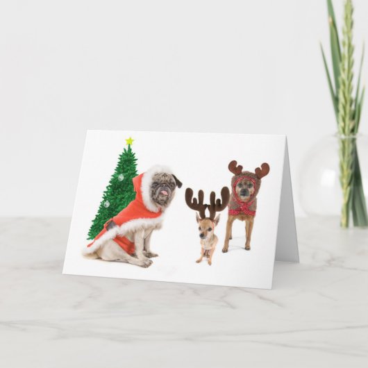 代役 シーズンカード (正面)