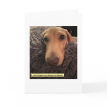 代数ミレグラム