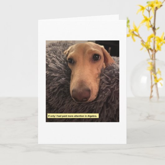 代数ミレグラム カード (黄色い花)