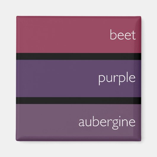 代替マグネット：カラー見本 マグネット (正面)