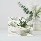 代替医療のポストカード ポストカード (スタンド正面)