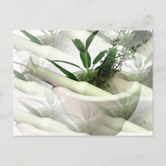 代替医療のポストカード ポストカード