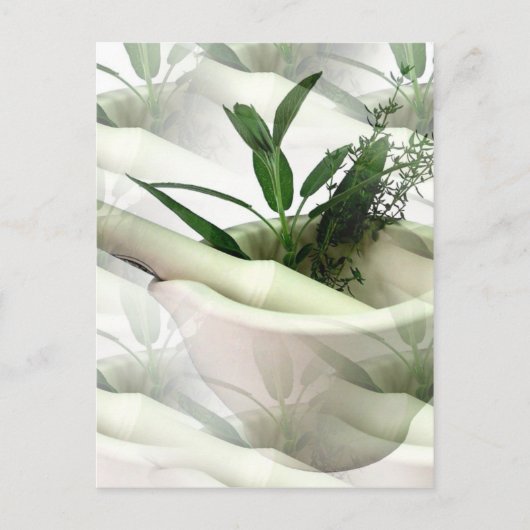 代替医療はがき ポストカード (正面)