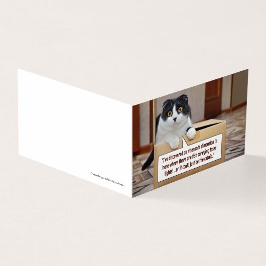 代替寸法 (外部)