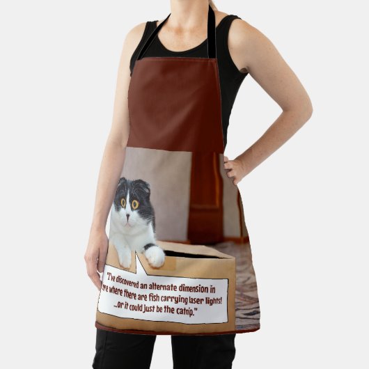 代替寸法 エプロン (インサイチュ)