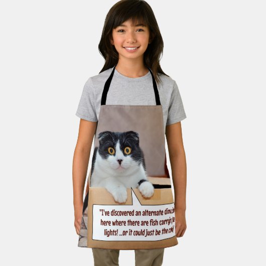 代替寸法 エプロン (インサイチュ)