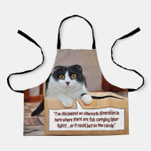 代替寸法 エプロン (正面)