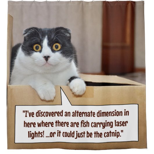 代替寸法 シャワーカーテン (正面)