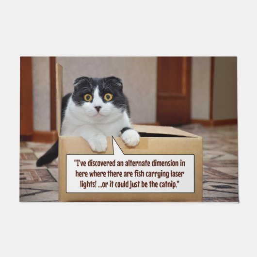 代替寸法 ドアマット (正面)