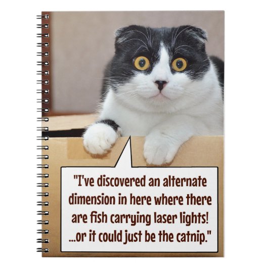 代替寸法 ノートブック (正面)