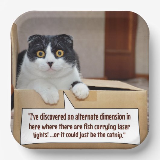 代替寸法 ペーパープレート (正面)