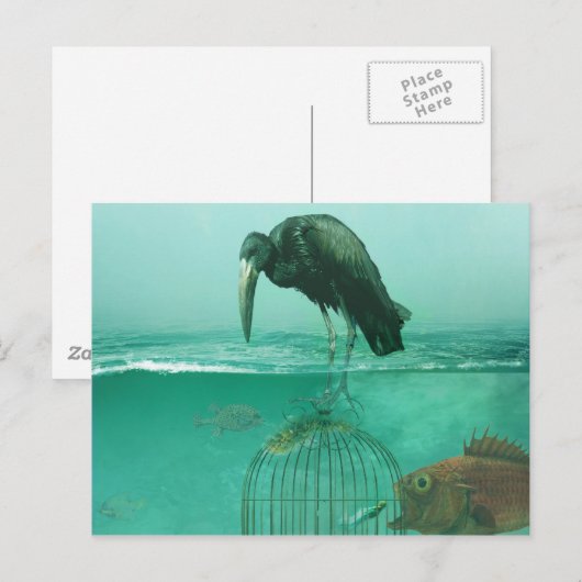 代替寸法 ポストカード (正面/裏面)